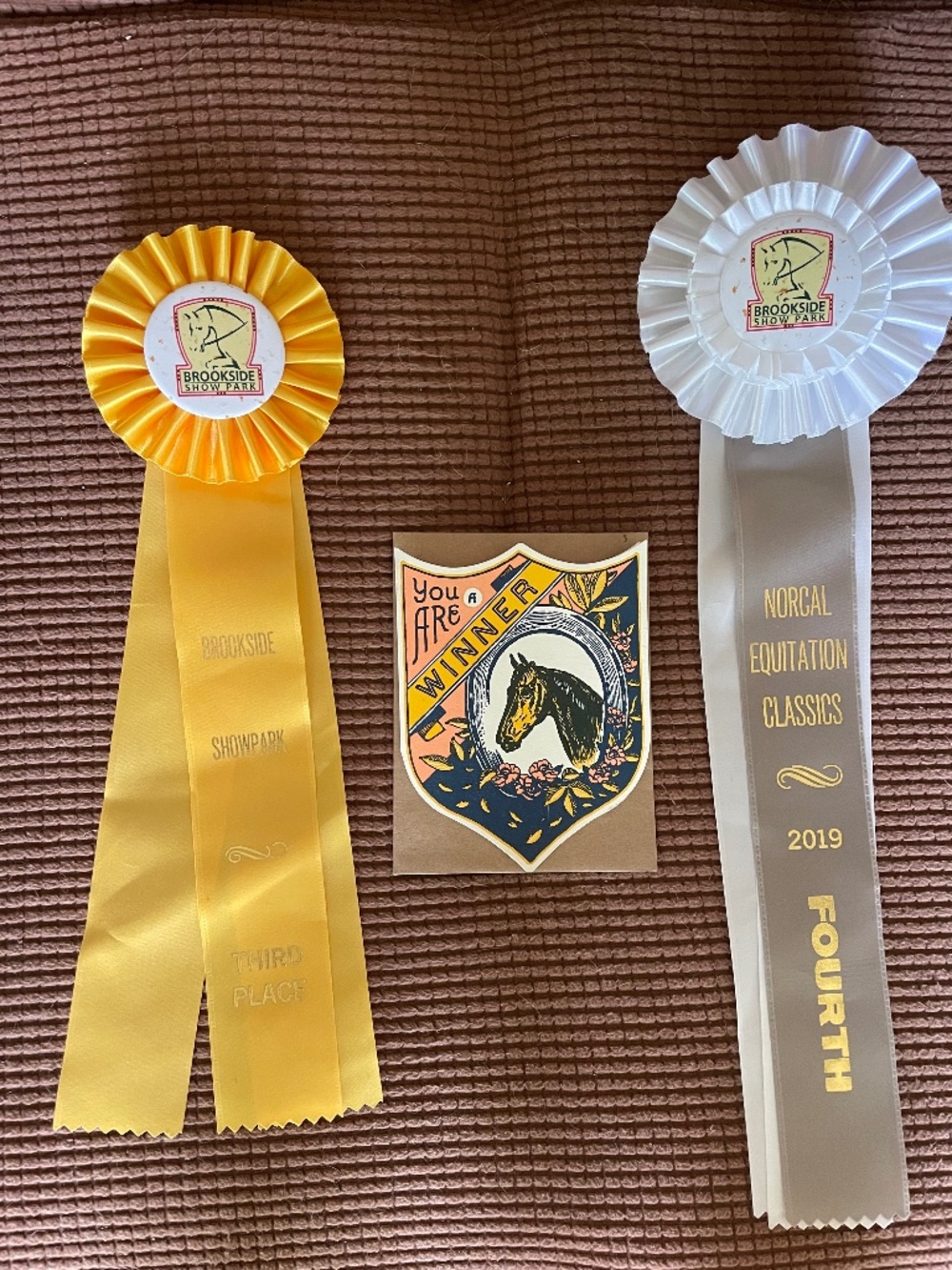 Vintage Equestrian Competition Ribbons and "You are a winner" horse theme card